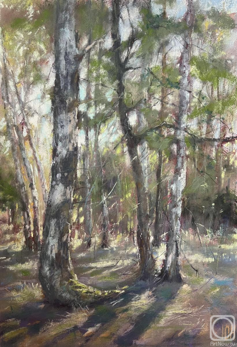 �������. �������� ����. ����� ����� �� ������