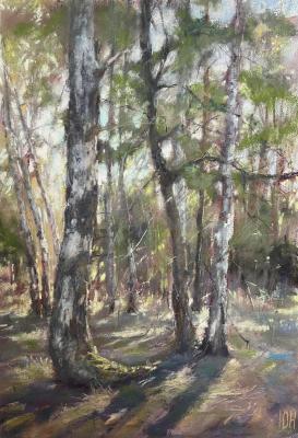 Untitled. Naumenko Yuliya