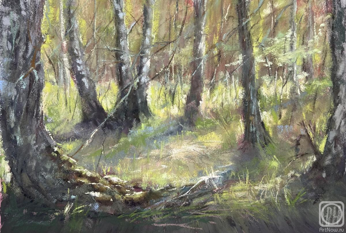 Naumenko Yuliya. Untitled