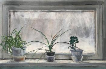 Window in the entrance. (Chlorophytum Aloe Kalanchoe). Cheglyakov Andrey