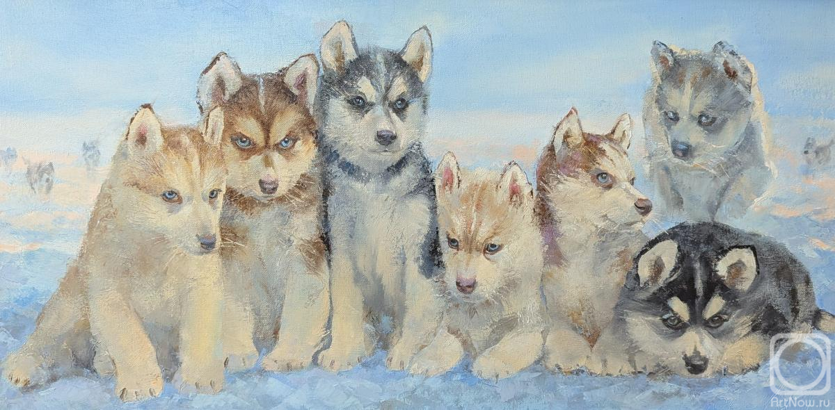 ������� ������ �� ������. ������ �����. �� ���� �������