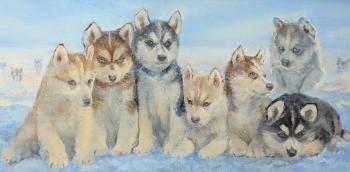 �� ���� �������. ������ �����