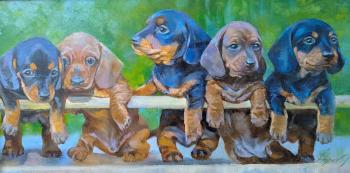 ������� ����������� ��� (������ ��������). ������ �����