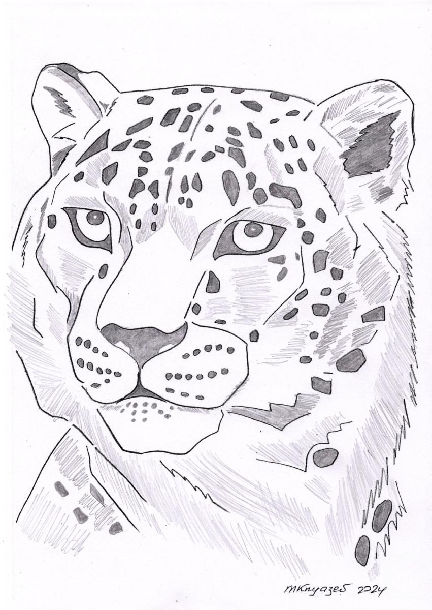 �������. ������ ��������. ������� �������