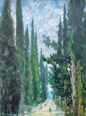 Cypress Alley or sea horizon