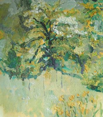 ������� ��������