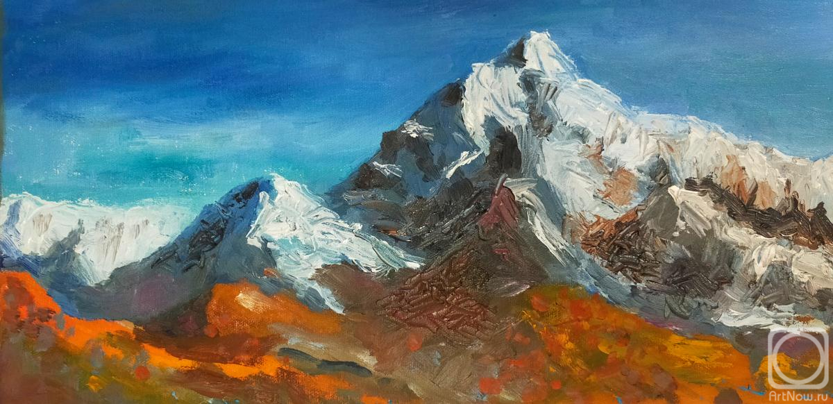 ������� ������ �� ������. ������ ������. ������� �������� ����