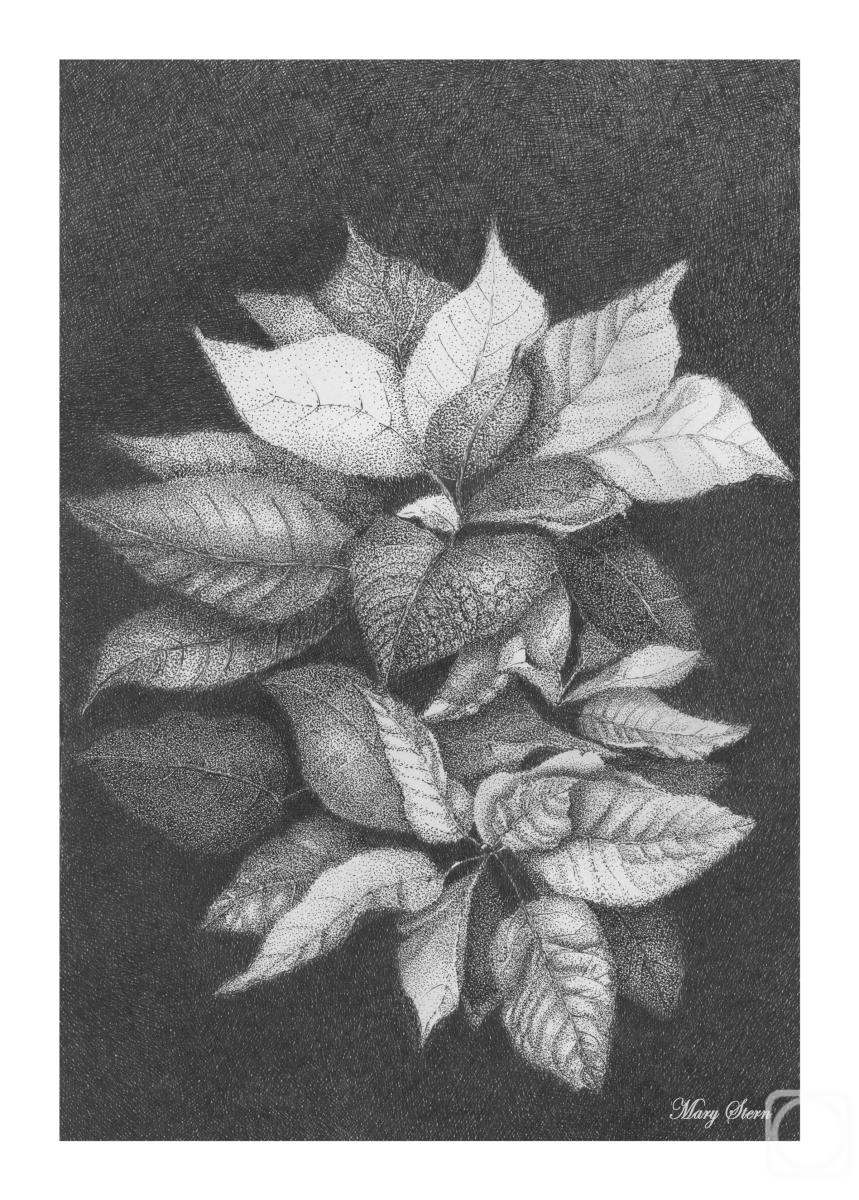 �������. ����������� ������. �������������� ������