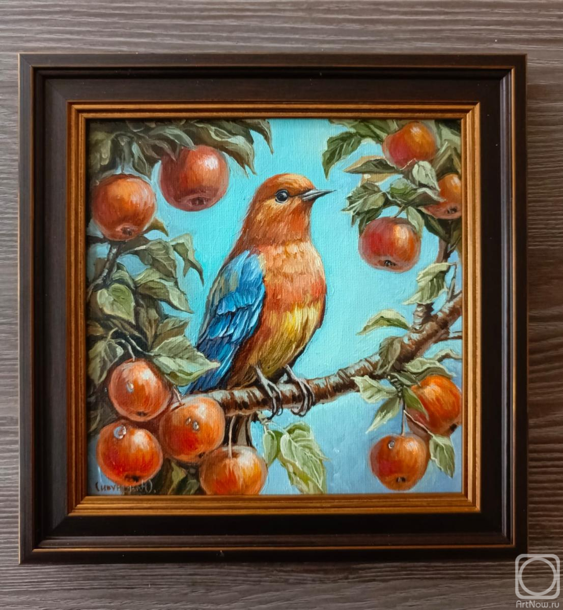 ������� ������ �� ������. �������� ����. � ������� ����