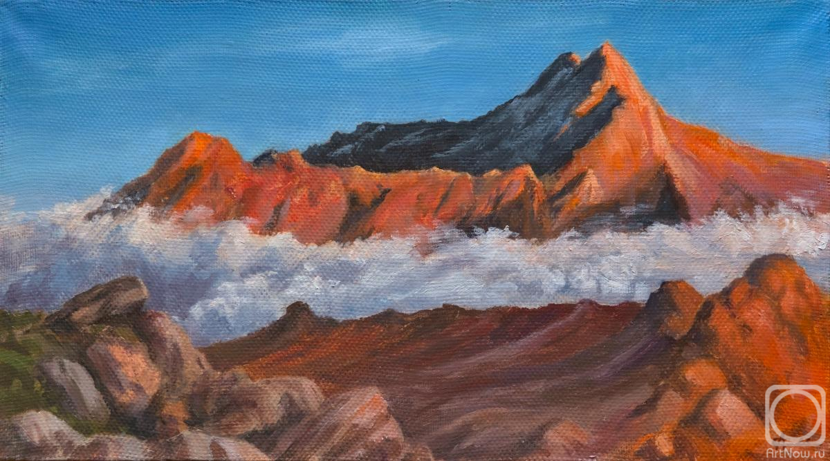 ������� ������ �� ������. ������� ���������. ���������