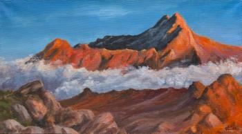 ���������. ������� ���������