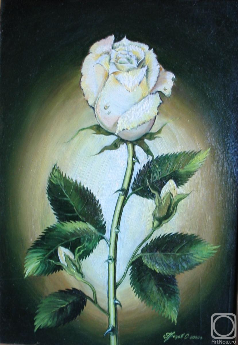 �������. ������ ������. ����� ����