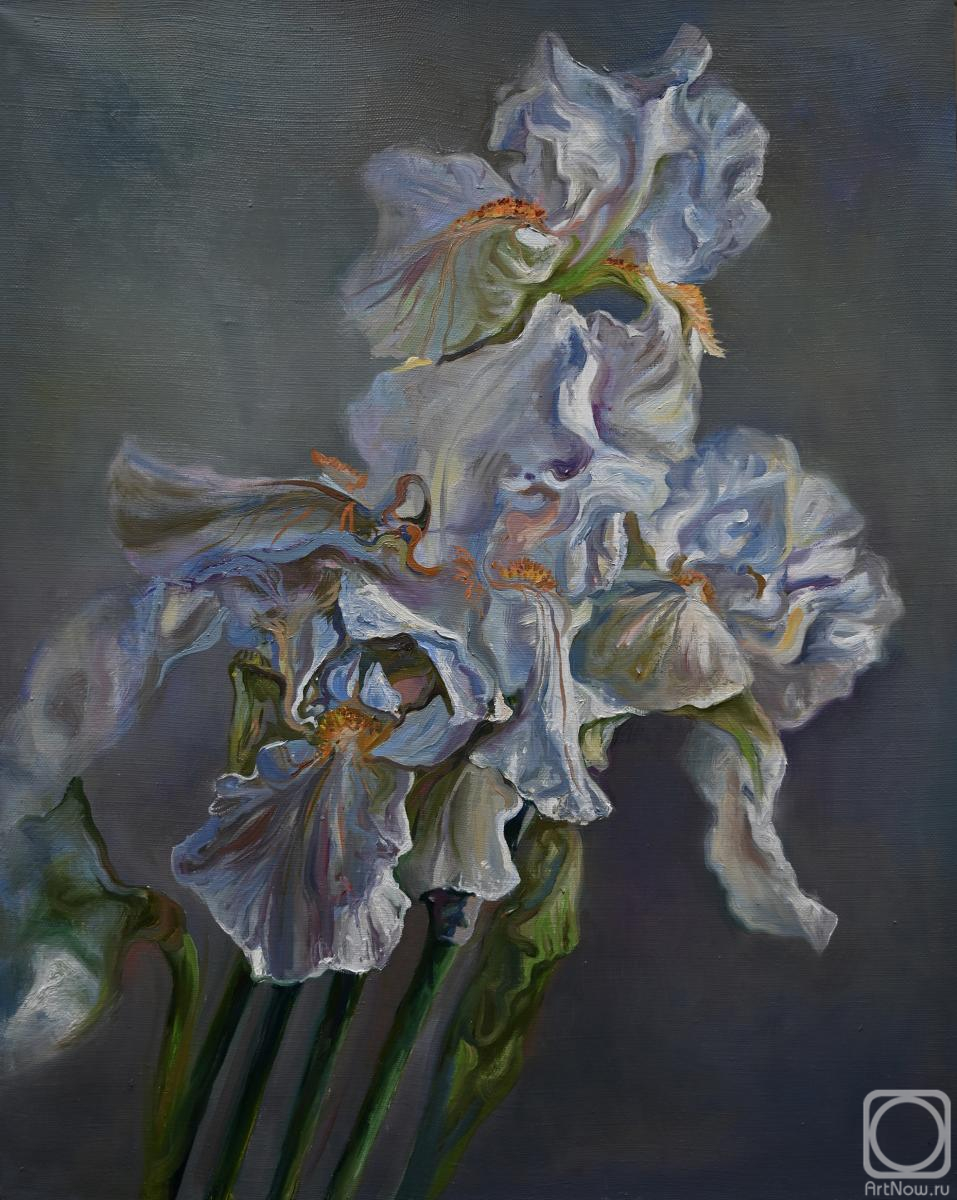 ������� ������ �� ������. ���������� ������. �����