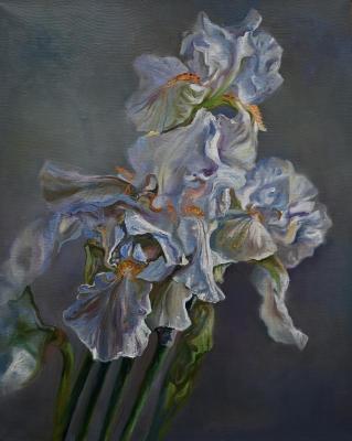 ������� �������