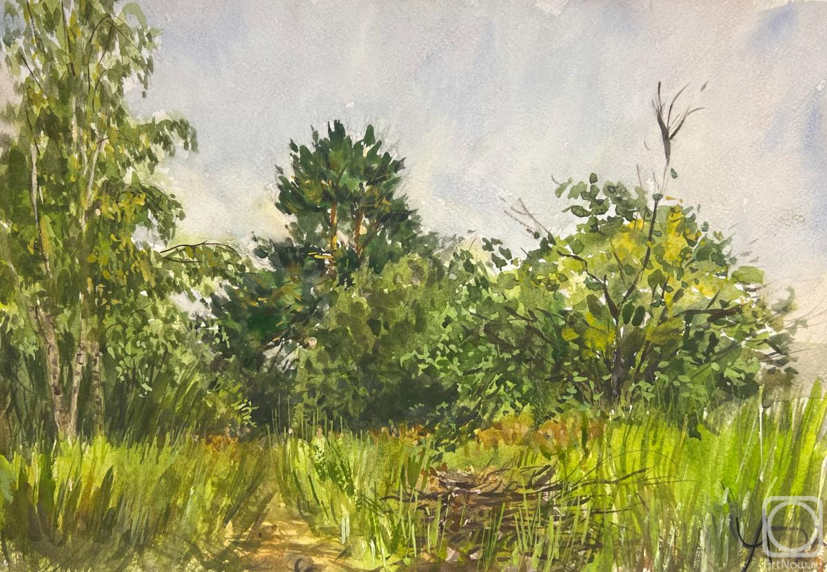 �������. �������� ������. �� ������ ���� (������� ������)