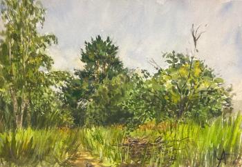 �� ������ ���� (������� ������). �������� ������