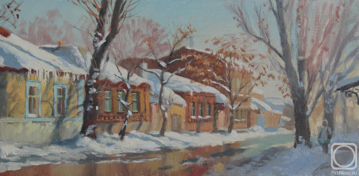 Bychenko Lyubov. Winter in Rostov