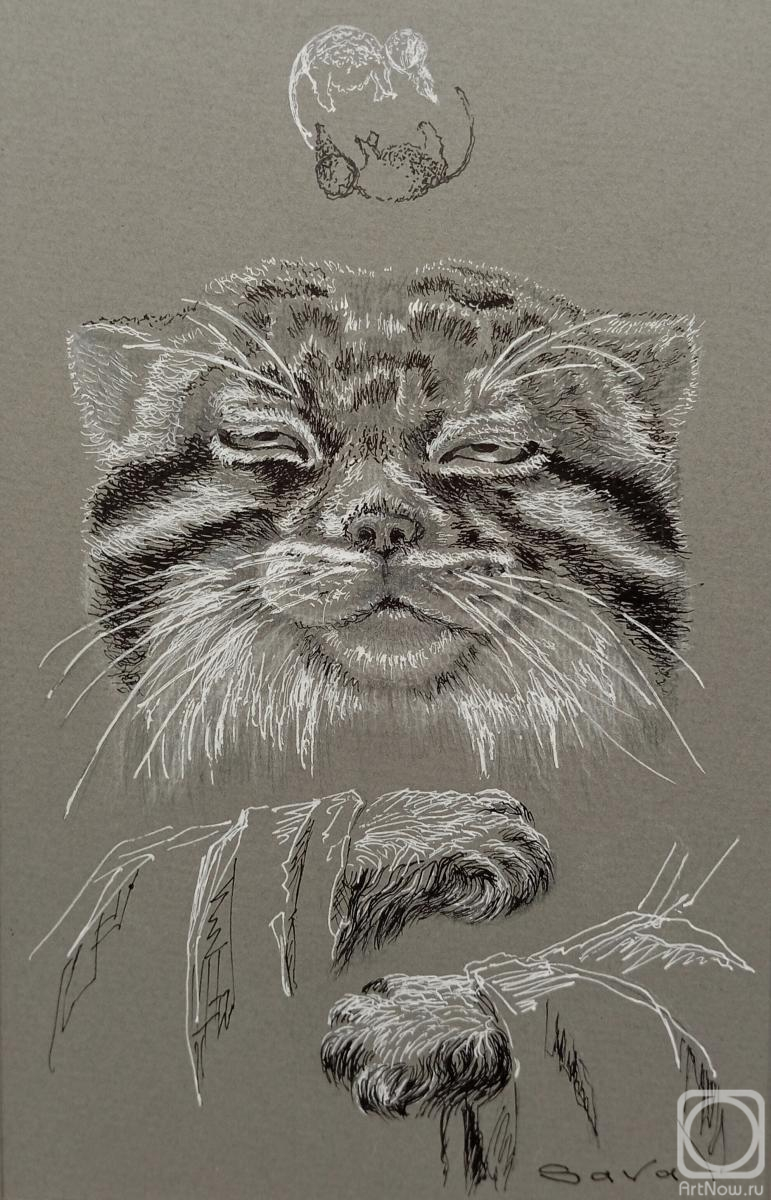 �������. ������� �������. ����