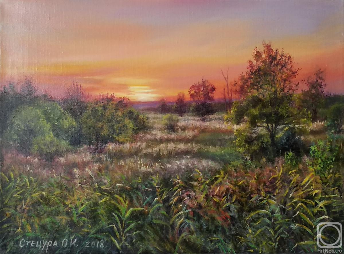 ������� ������ �� ������. C������ �����. ������ ���� �� ������