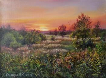 ������ ���� �� ������. C������ �����