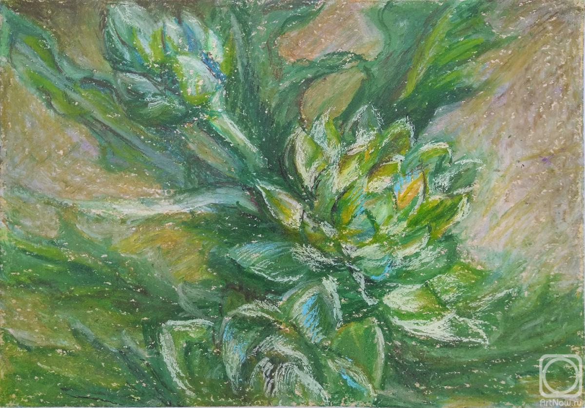 Belyaeva Anna. Untitled