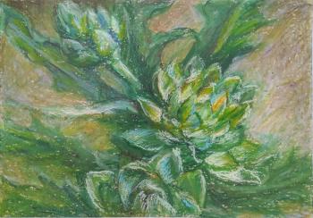 �������. ������� ����