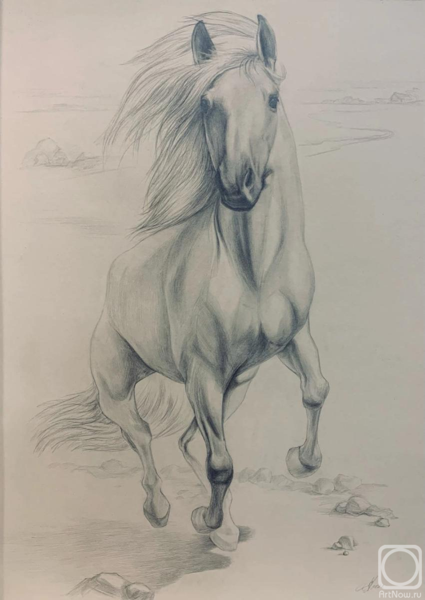 �������. ������� ����. � ����