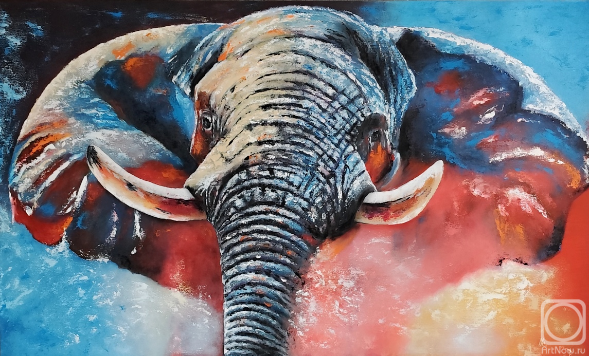 ������� ������ �� ������. �������� ������. ����