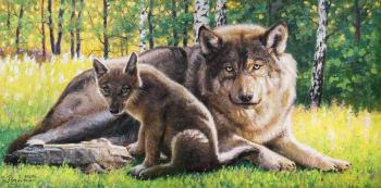 ��������� ����. �������� �����