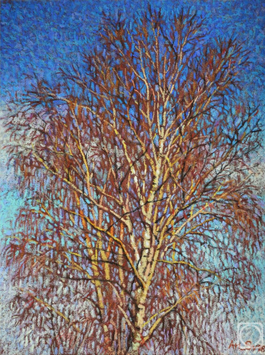 �������. ���������� �����. �������