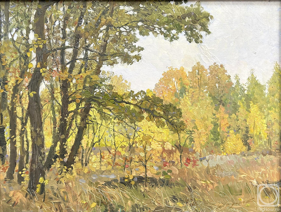 ������� ������ �� ������. �������� �����. ������� �����. �����