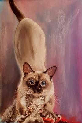 ������� ����