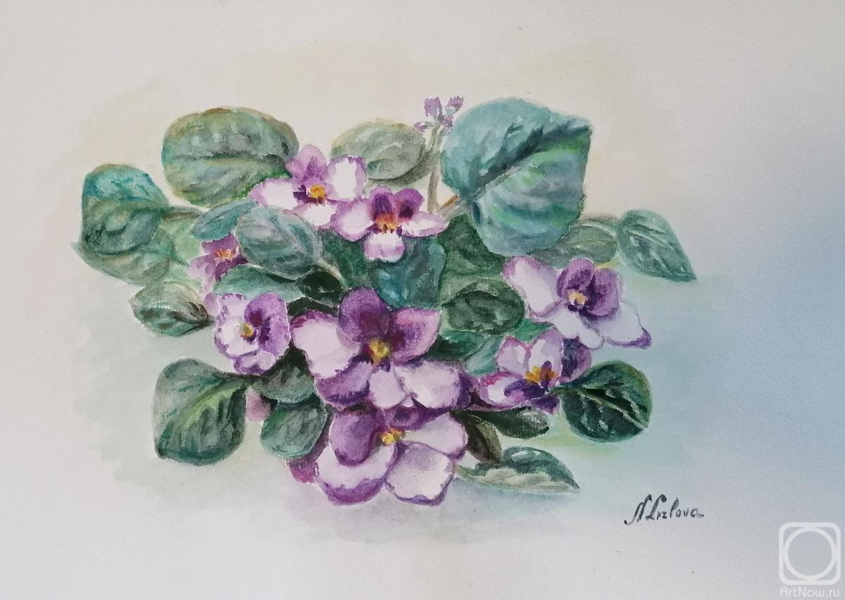 �������. ������� �������. ��������