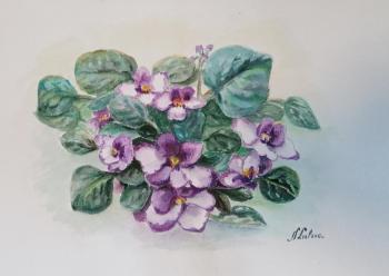 ������� ���������