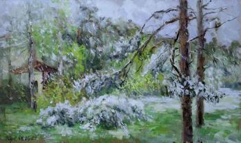 ������� ����� � ���