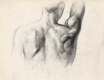 Muscles of the back (Anatomy For The Artist). Yudaev-Racei Yuri
