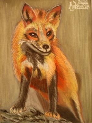 ������� ������ �������