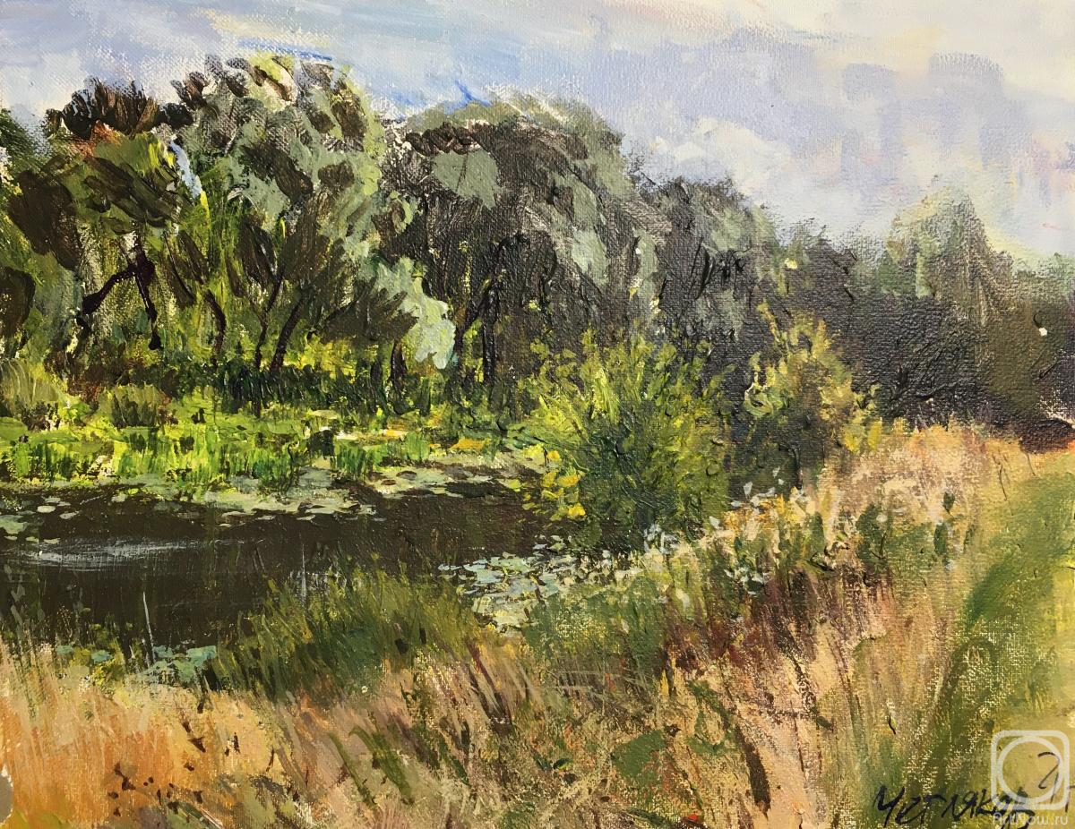 �������. �������� ������. ������ �������