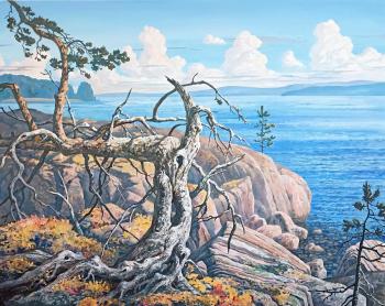 ����� ����� (�������). ������ ������