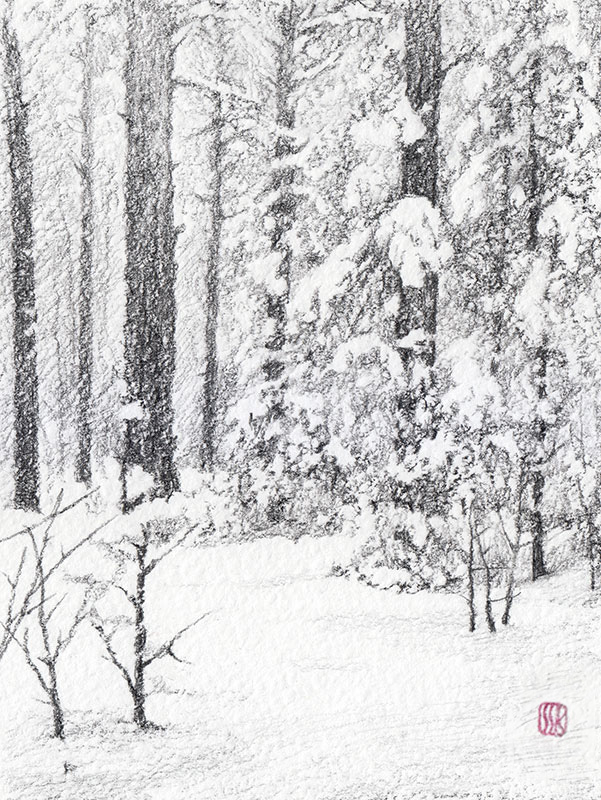 �������. ������� ������. ������ ���