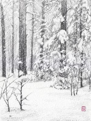 ������� ������� ���