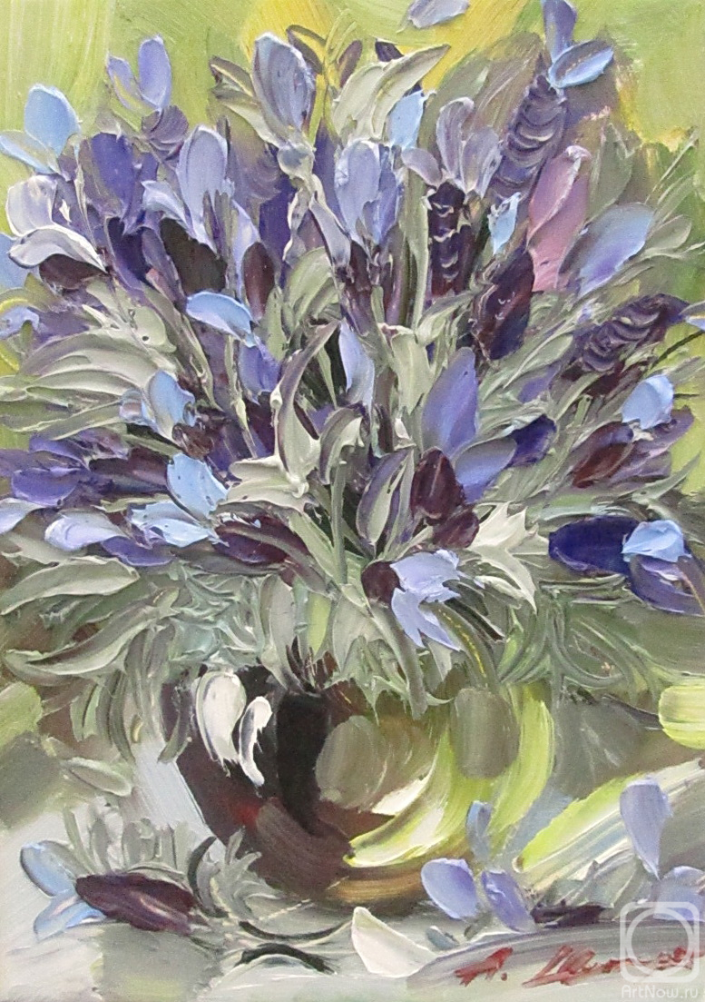 Schubert Albina. Untitled