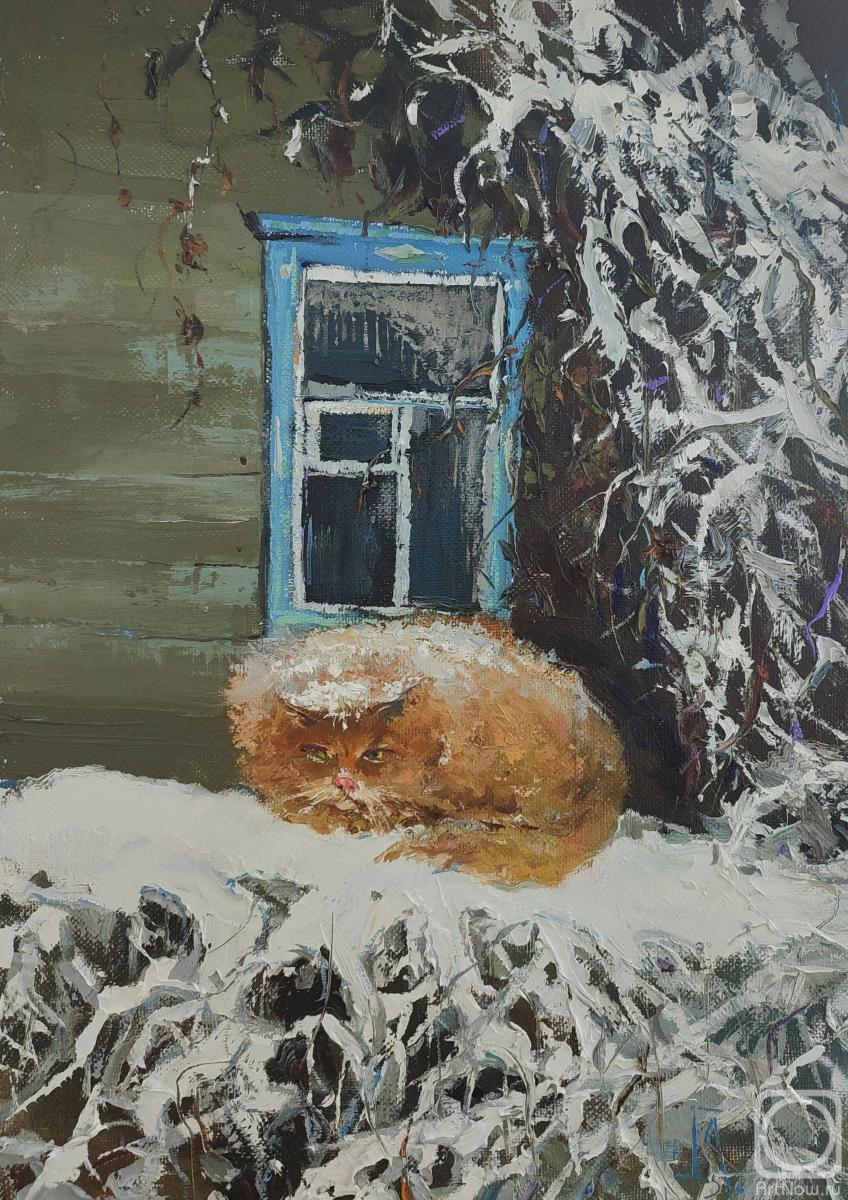 ������� ������ �� ������. ���������� �������. ������