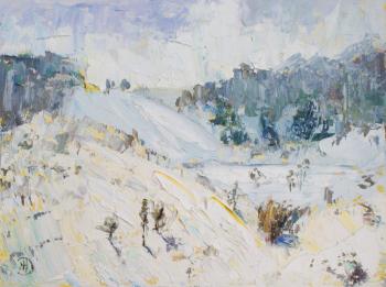 Belgorod region. Snow has fallen. Nikiforenko Mariya