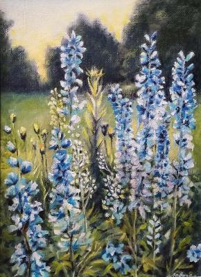 ������� �����������