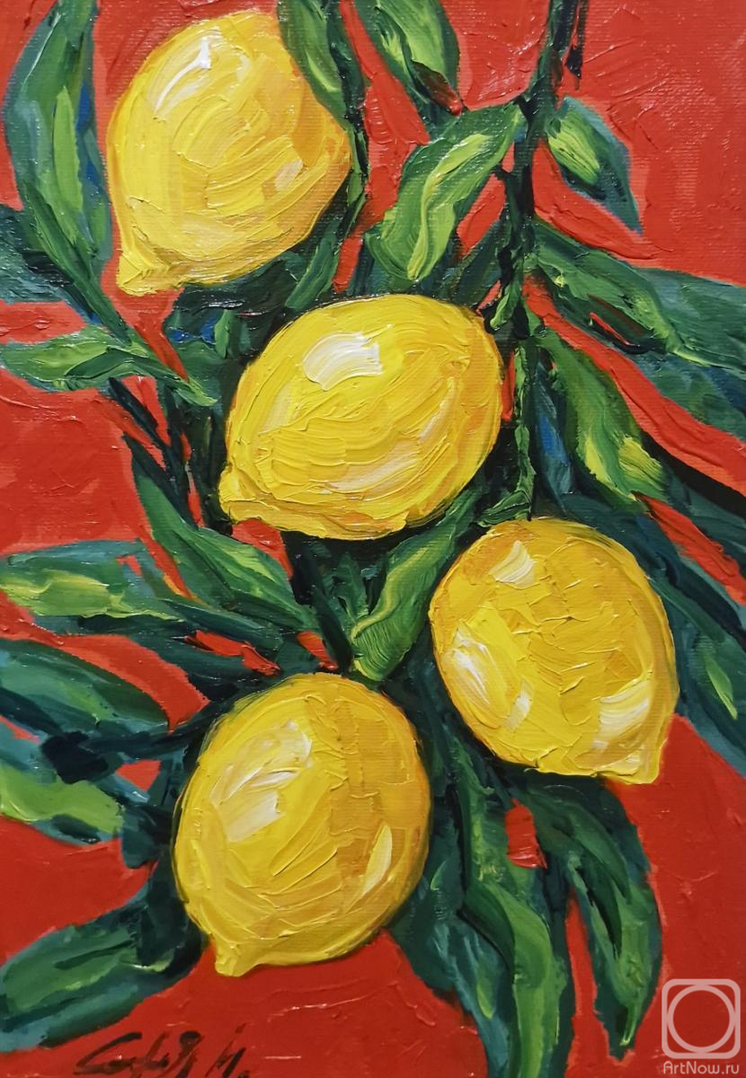 Merkulova Sofiya. Untitled