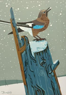 ������� ������ ������������