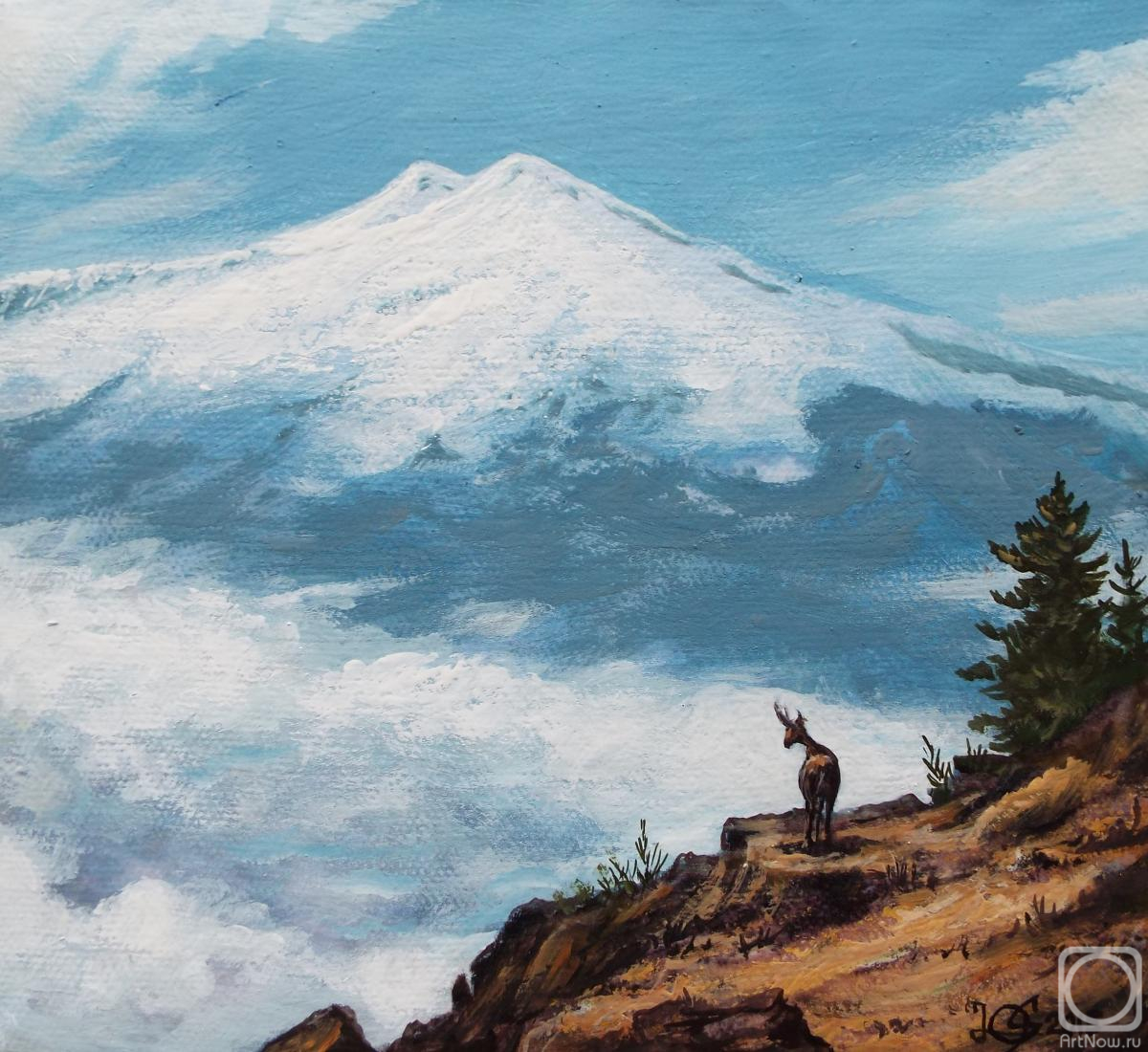 ������� ������ �� ������. ��������� ����. ���� �������