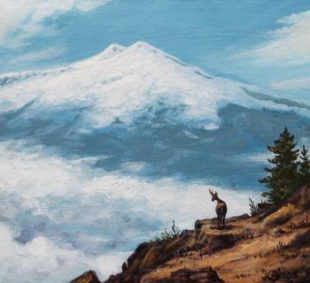 ������� ����� �������