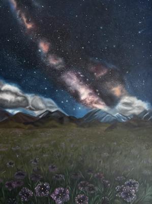 ����������. ������� �������